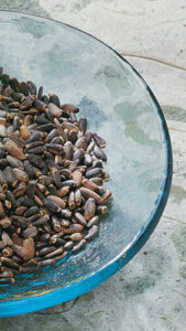 An Ayurvedic Spa Image